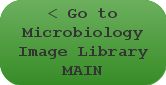 Go to Science Image Library MAIN PAGE